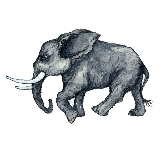 Elefant