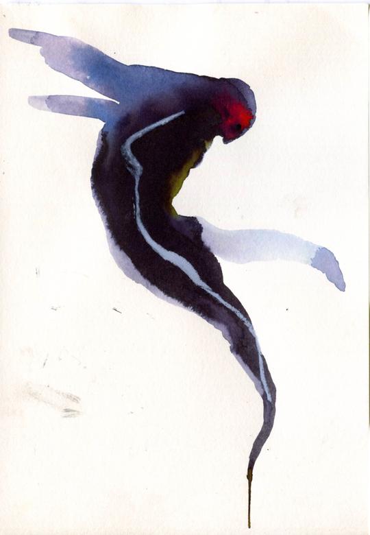 Icarus I