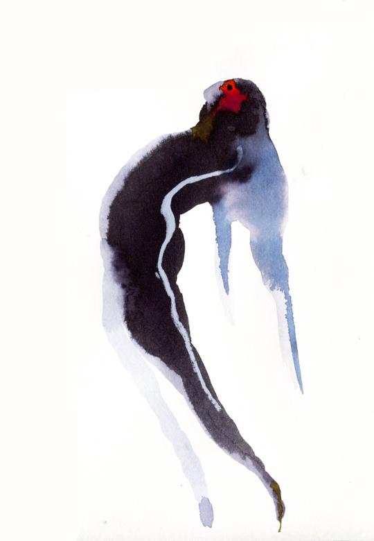 Icarus II