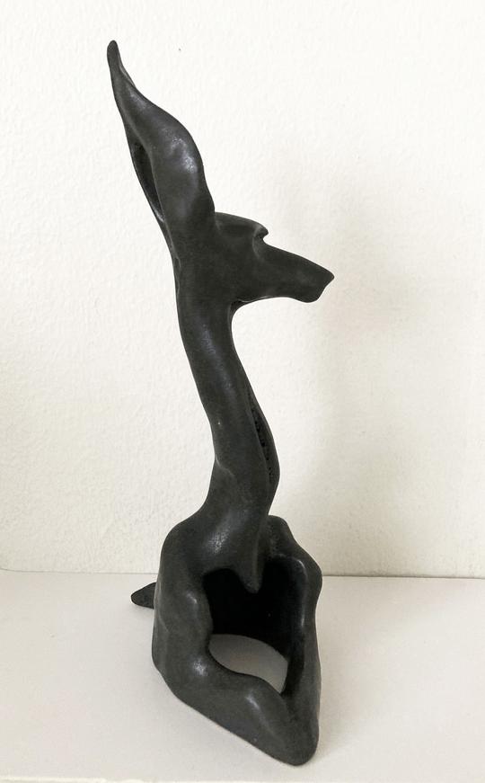 Black Dog